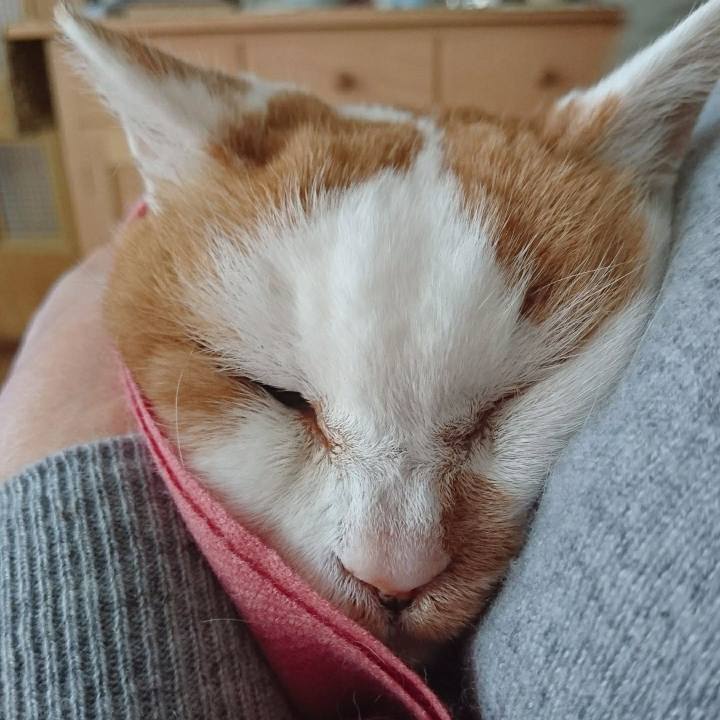 1db75219 ae58 443d 9f7f 8c8d7cff481e 1737726223849