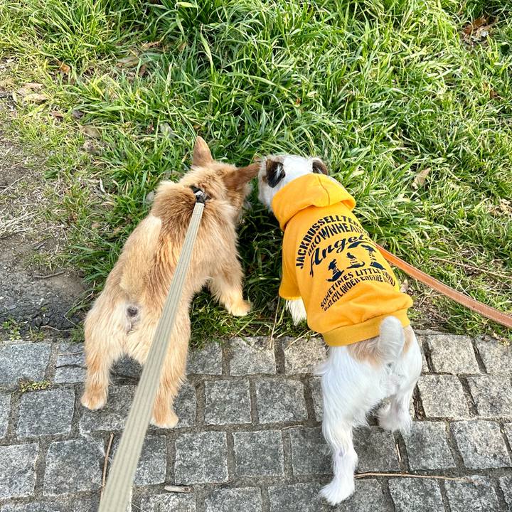 1db7a3de c6bc 4efa 8b8f ae004612573d 1710684322932