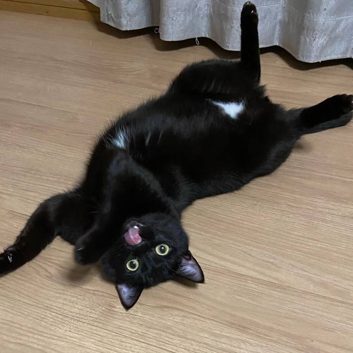 1db7c70d d24e 4ecb b4c4 38c8ff0083d5 1637321846557