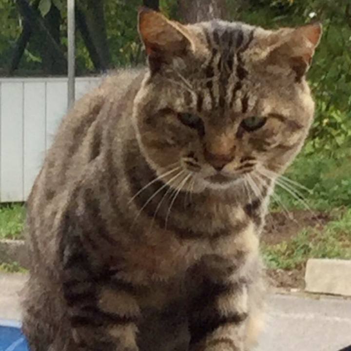 1db7e6a7 e9e7 4d1b af93 8a6367ff8139 1573136673527