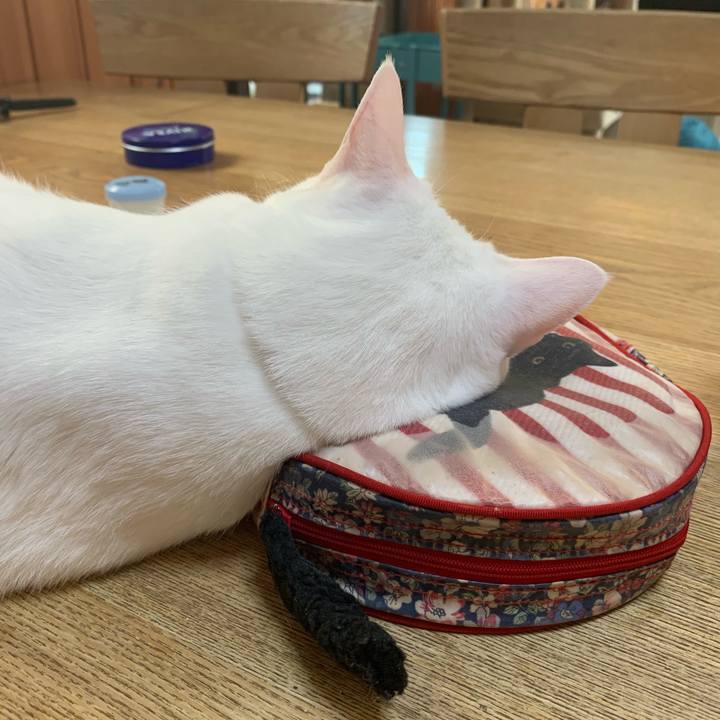 1db81464 f6e6 45d8 8ac1 c7d800accff3 1564525107780