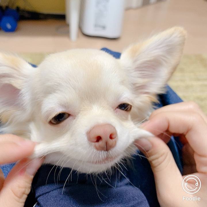 1db83eb5 c685 4c32 bcfb 35bd910b2708 1603274837607