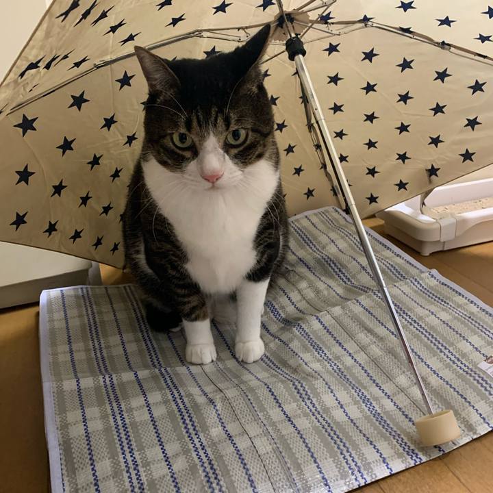 1db86a92 4d96 4fe5 8f2a 408ff2d0f3ba 1634452685301