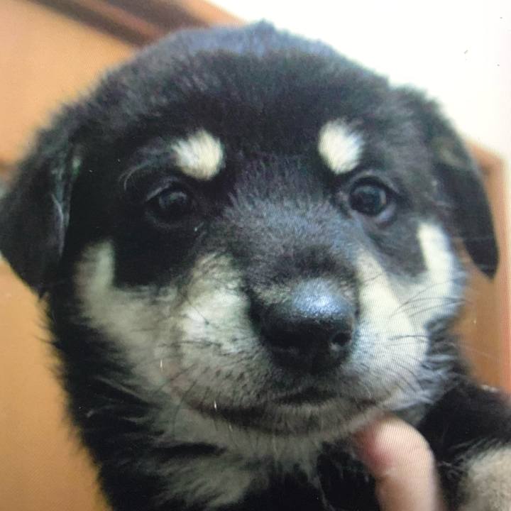 1db888a4 d233 4733 baab ecfd81562d5c 1676793952264