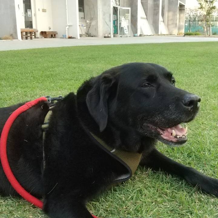 1db89cee b904 4605 9f45 d30362d63520 1691805351615