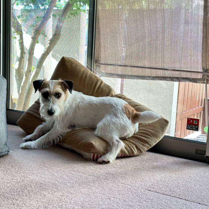 1db8b17e 09d5 4e13 97fa 1c26ff649e17 1688997409653