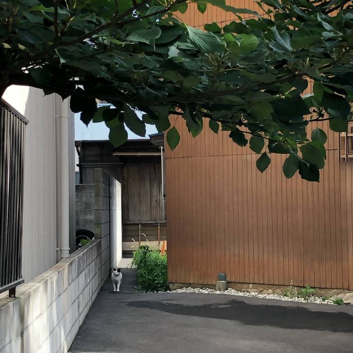 1db8e678 4649 4c00 bdaf 1fd06cbe1d83 1565878083870