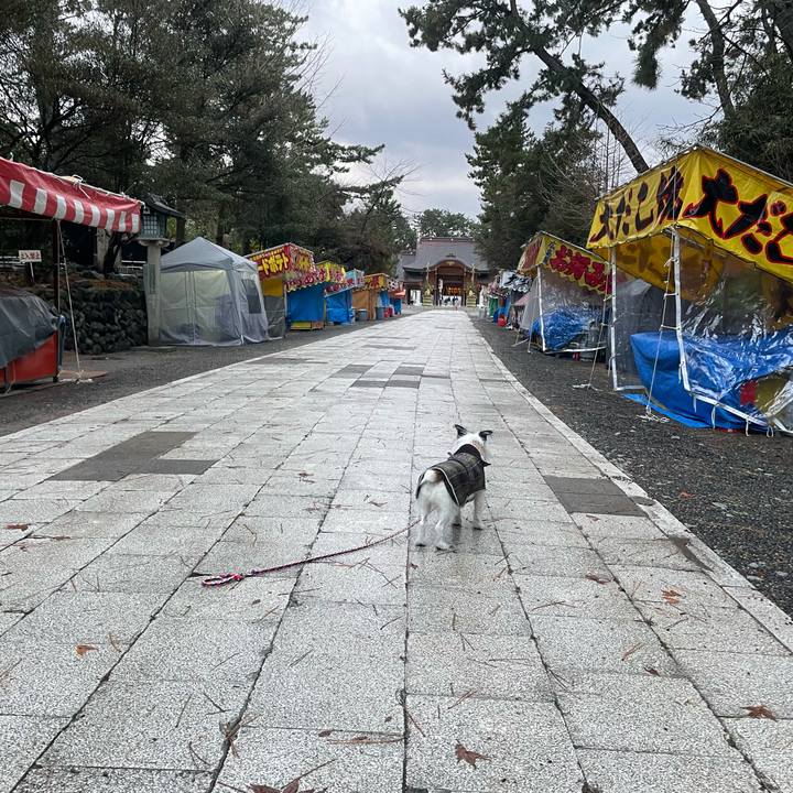 1db8eeb9 5e17 4fb0 8a41 2510be185340 1735598972390