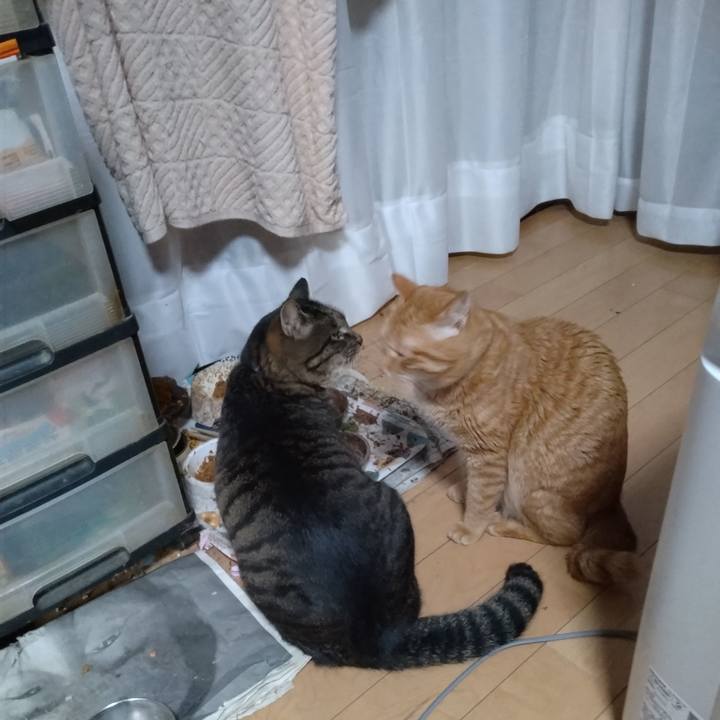 1db90489 082f 4e15 a01f c4469d064f4f 1673913604458