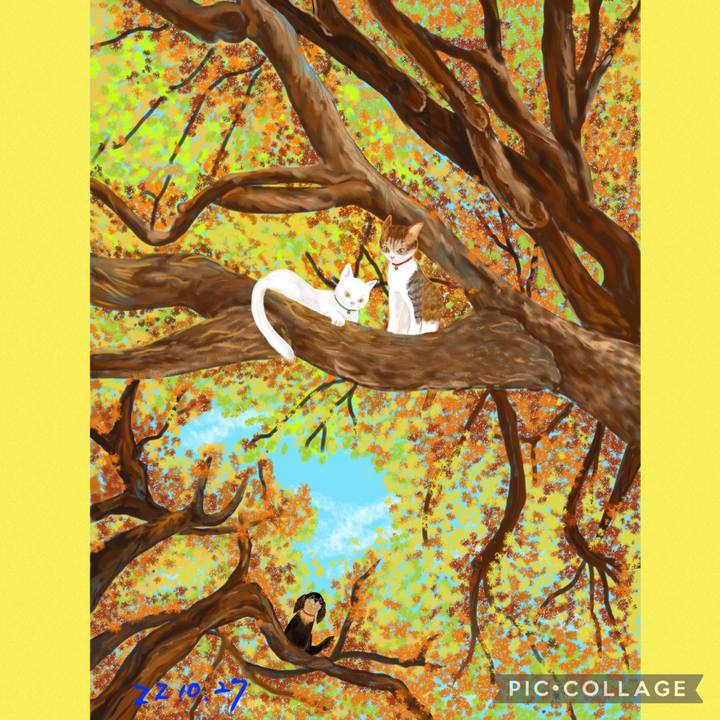 1db941cd bbab 48a7 8f4f a879835fa632 1666862013710