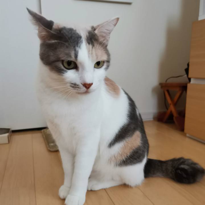 1db9636a c67d 480b a5d5 c76b5ec1eff5 1632974995391