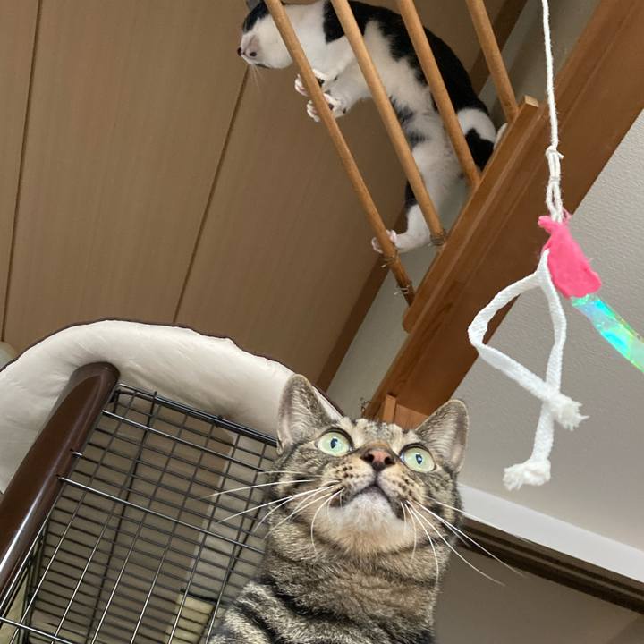 1db9743a 64bf 41d5 869a 435d9932039a 1635401209554