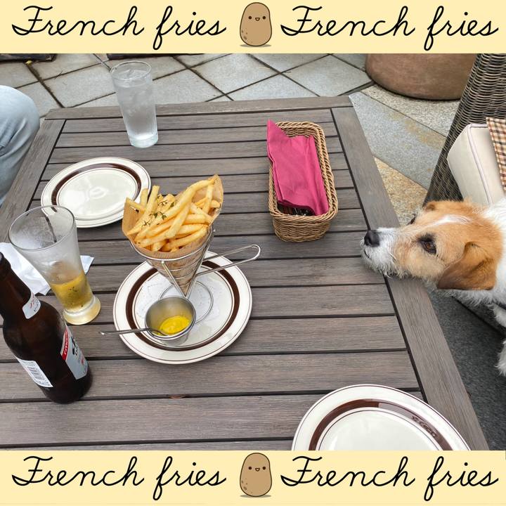 1db9751f 15c5 4622 aaac 32e789a712f0 1652517383547