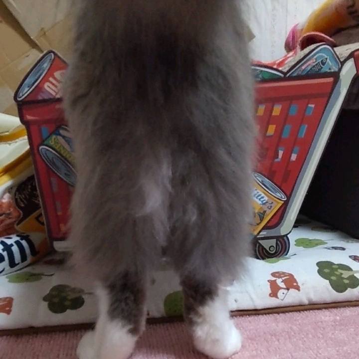 1db9a9c2 df44 4ce1 8681 18997546dfab 1656936573741