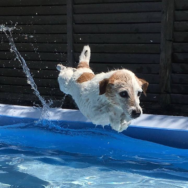 1db9aa5b 3d7f 4b54 bdd7 961b531e77e2 1615210230587