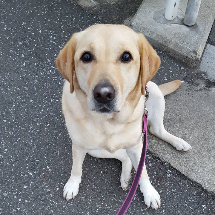 1db9ba49 2ecb 419a 8bbf e809324ed870 1524656230846