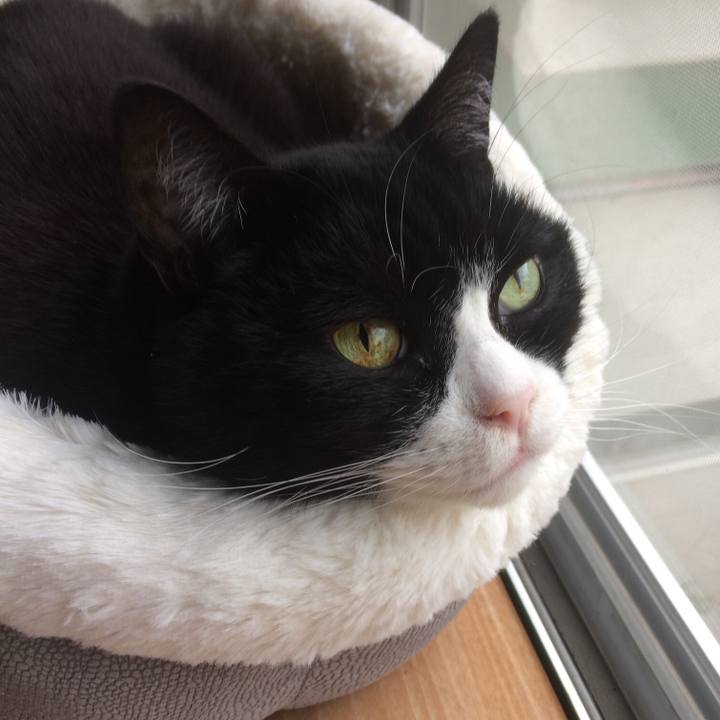 1db9ecf0 7753 4333 94c3 674b35c0e399 1517871139196