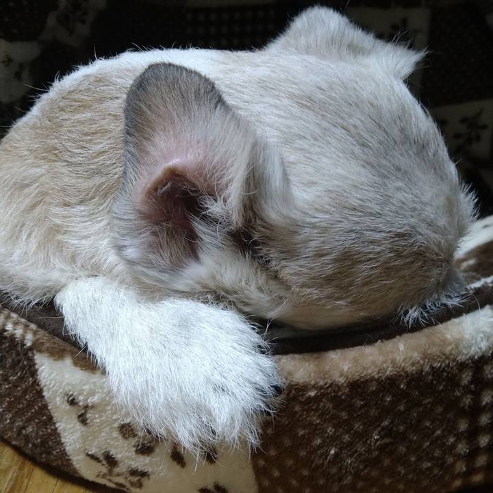 1dba0c5b 20b8 41f0 adff 8889fbd54ce3 1719573100362