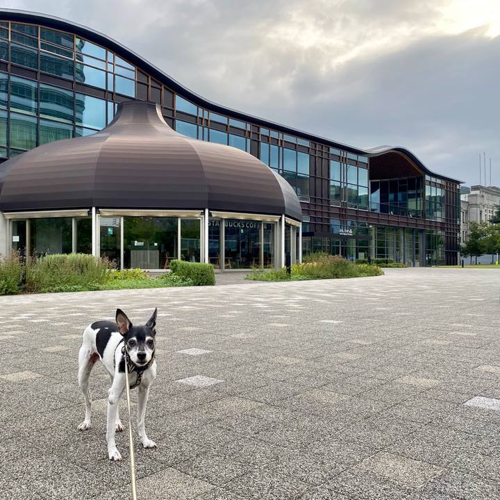 1dba1ecc 1eb3 4e67 a8ce 172a549dd2b6 1628720593349