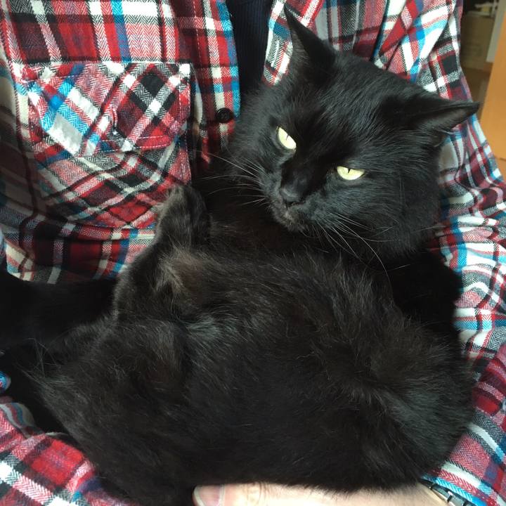 1dba5097 95cf 4af4 9270 54303135c7b8 1509687680396