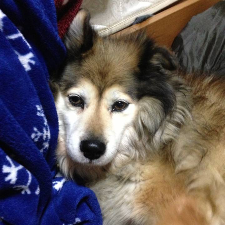 1dba8147 c813 4d93 8b98 87514e67d927 1584101661228