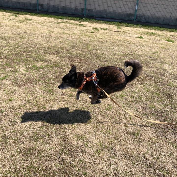 1dbad493 6e46 434d 937f 5203826f2cf3 1677209826325