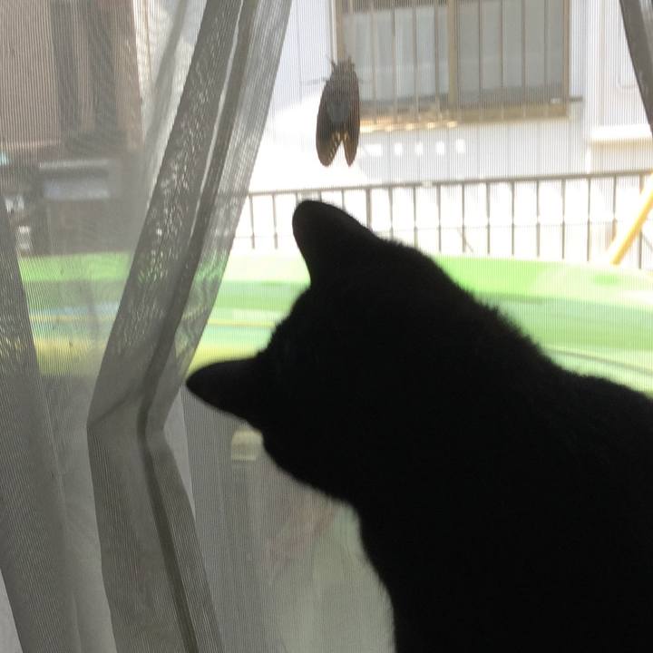 1dbb27c7 6006 45ec 8b85 84718645cd76 1626850369707