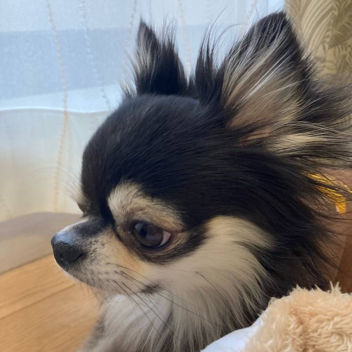 1dbb3d3a def7 4f28 a871 1c2c77e83d55 1703330158696