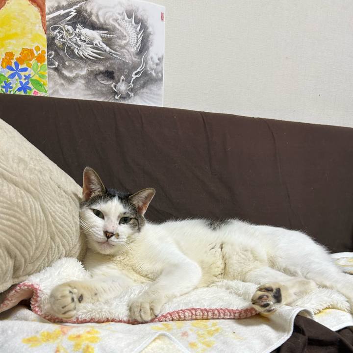 1dbb5e03 df9d 4989 bbda 5ed4daa9ef37 1728356996145