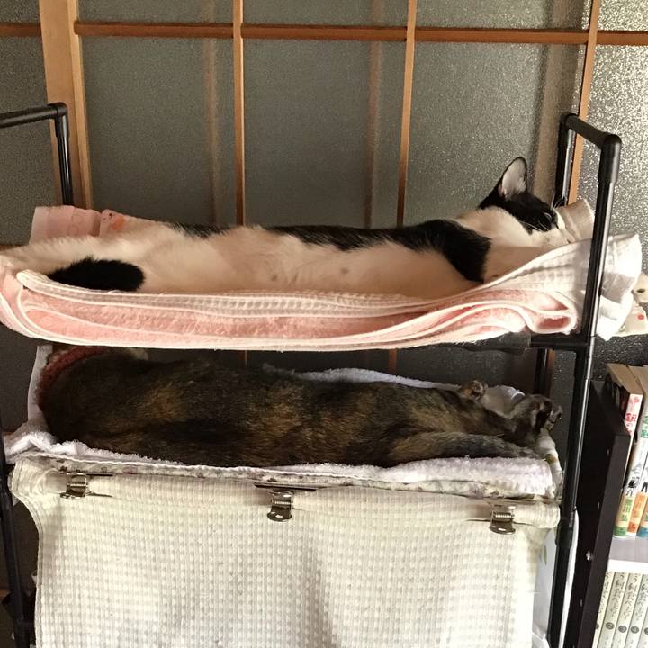 1dbb8f1c 367d 4010 b2db b7fc6a56ddeb 1633943213158