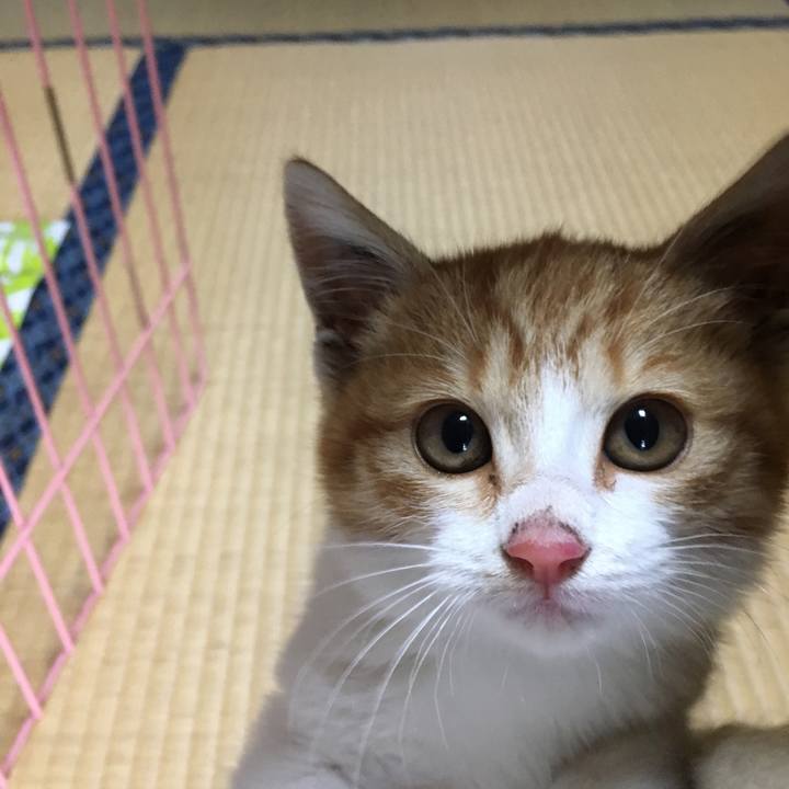 1dbbcc0a fd98 45ae 9e0a 6bea0cfac1ea 1573957167852