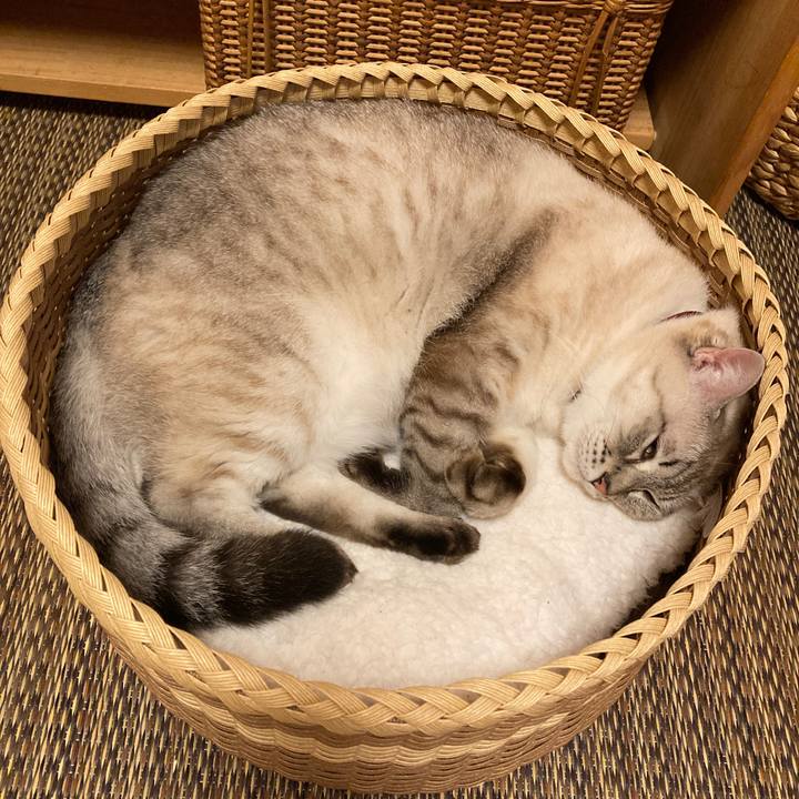 1dbbe815 da52 43c2 b15c 37a5bbead634 1634397266646