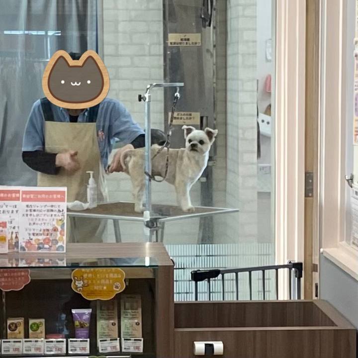 1dbc073b 0e79 4f67 8a7e 781c200ed98f 1703751615225