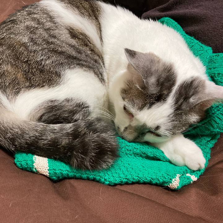 1dbc21a4 1429 4dcc 9f75 0c7e312f2437 1616934098252