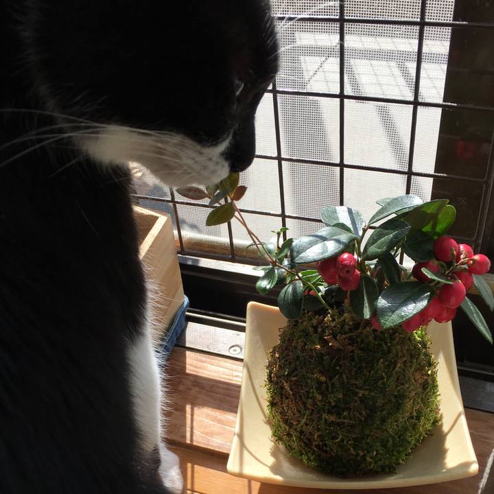 1dbc2412 cb97 4a48 aaea 9fd826ad378e 1511753294540