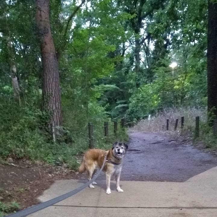 1dbc3971 2c07 42b4 b290 8ae0525da26e 1562631291131