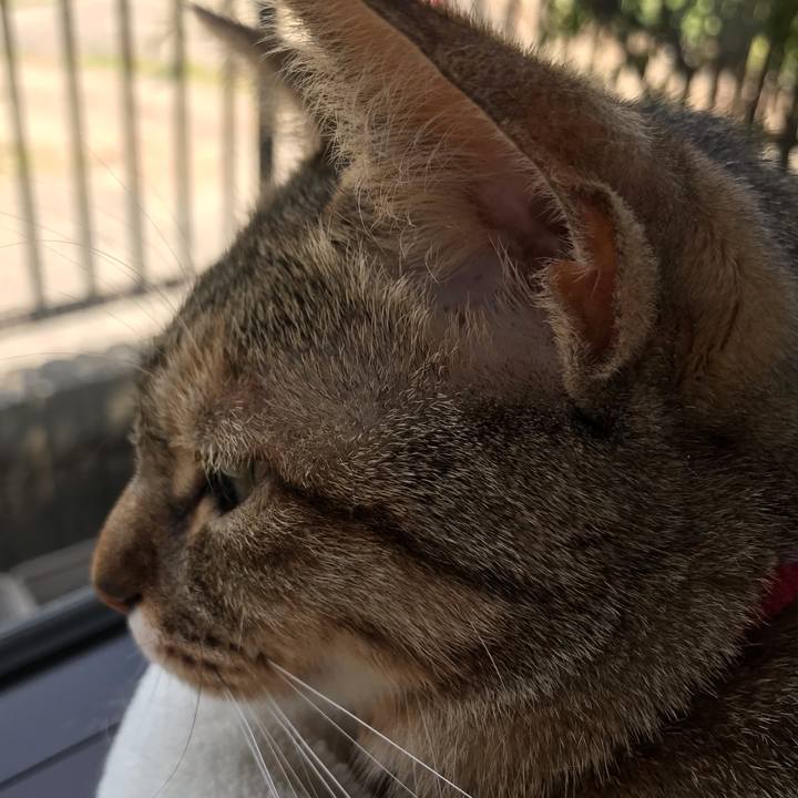 1dbc9fb3 238c 4c6d b507 edda68bb522e 1586577636742