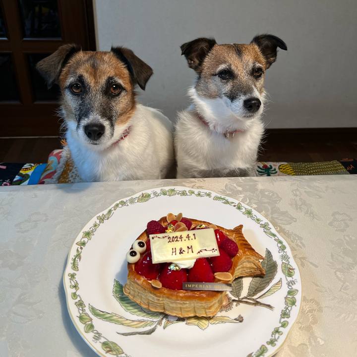 1dbca8a3 11bd 47ad 9db8 825af4287b05 1711974127416