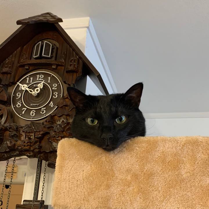 1dbcbe65 558b 429a 9588 db73bef338d3 1591934877072