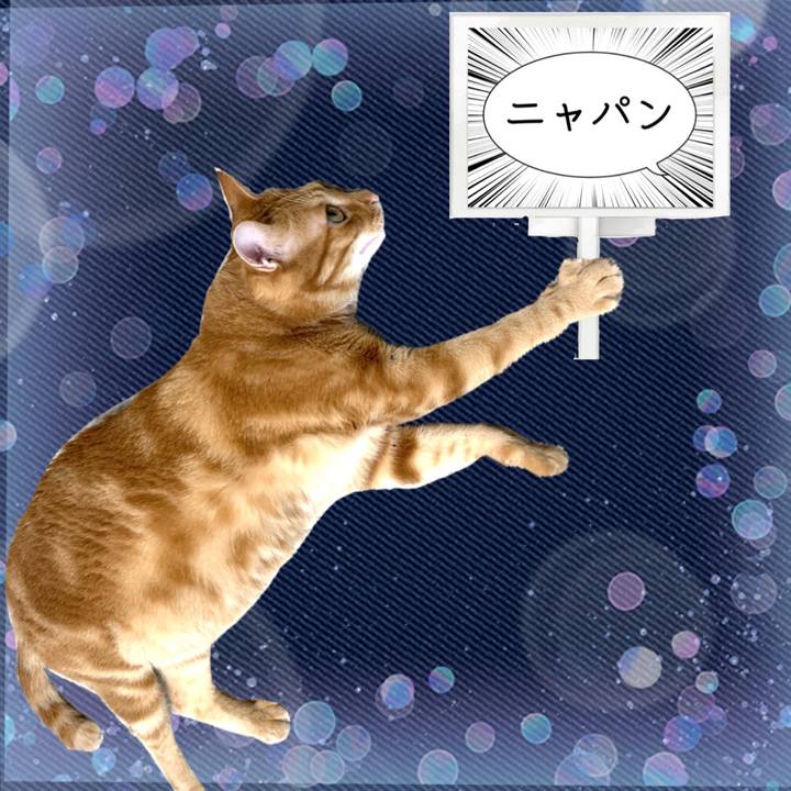 1dbcffd7 7739 4ea1 95a4 b2687aaa85f0 1627129793058