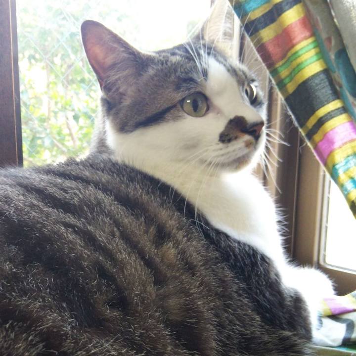 1dbd3401 07d7 4092 8d7f ec50d2200e48 1649631036554