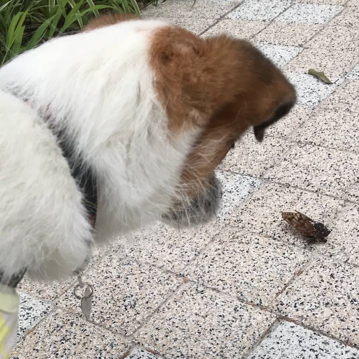 1dbd434c 9048 485c a4f3 21a74f937de0 1532599912727