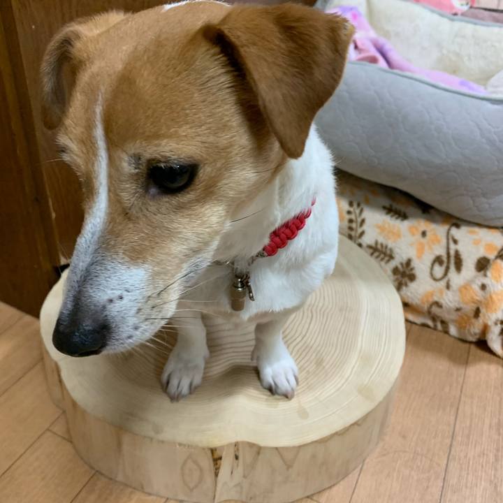 1dbd5c24 9fbe 4031 9f94 161028b163ef 1614591142287