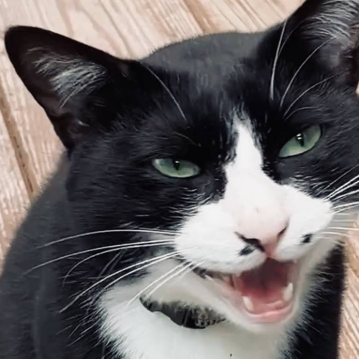 1dbd5cc2 5969 402b bbe4 60f53e01b907 1735376465531