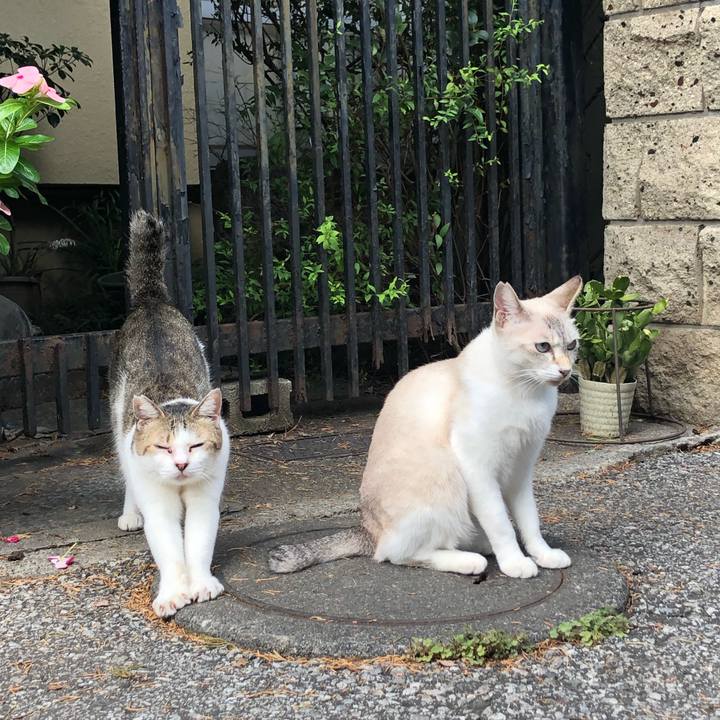 1dbd5e0c bd57 4278 9dbe 98816627f379 1567174694140