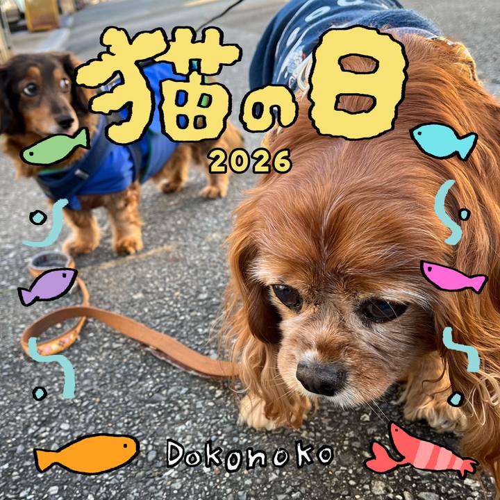 1dbdf5a5 7467 4e35 bb1b 520e2adac009 1771748639561