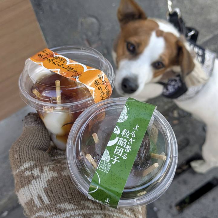 1dbe0c87 0ac7 4511 8bd6 fc0cbc83c82e 1765342318858