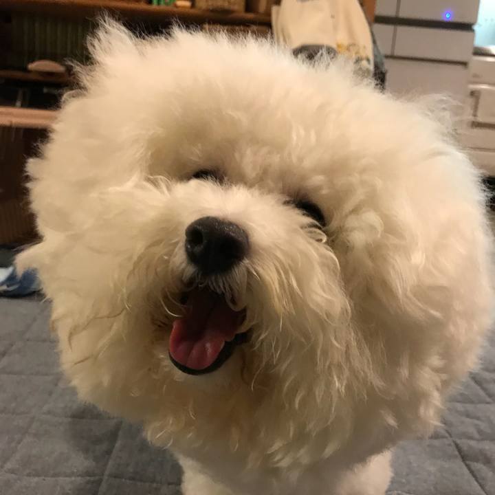 1dbe295f 002c 4dd6 a79f d67d0ec6a01a 1533639475025