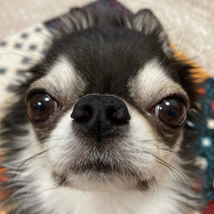 1dbe2f80 8926 44c8 80df 704ae5fc829c 1700952422567