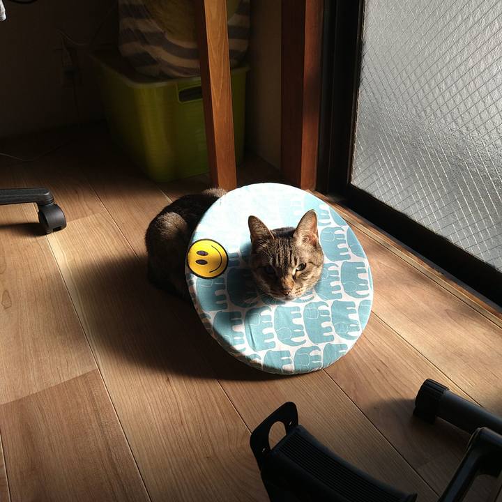 1dbe39b9 657e 4b12 a3f4 cc2839ef8121 1742513244256